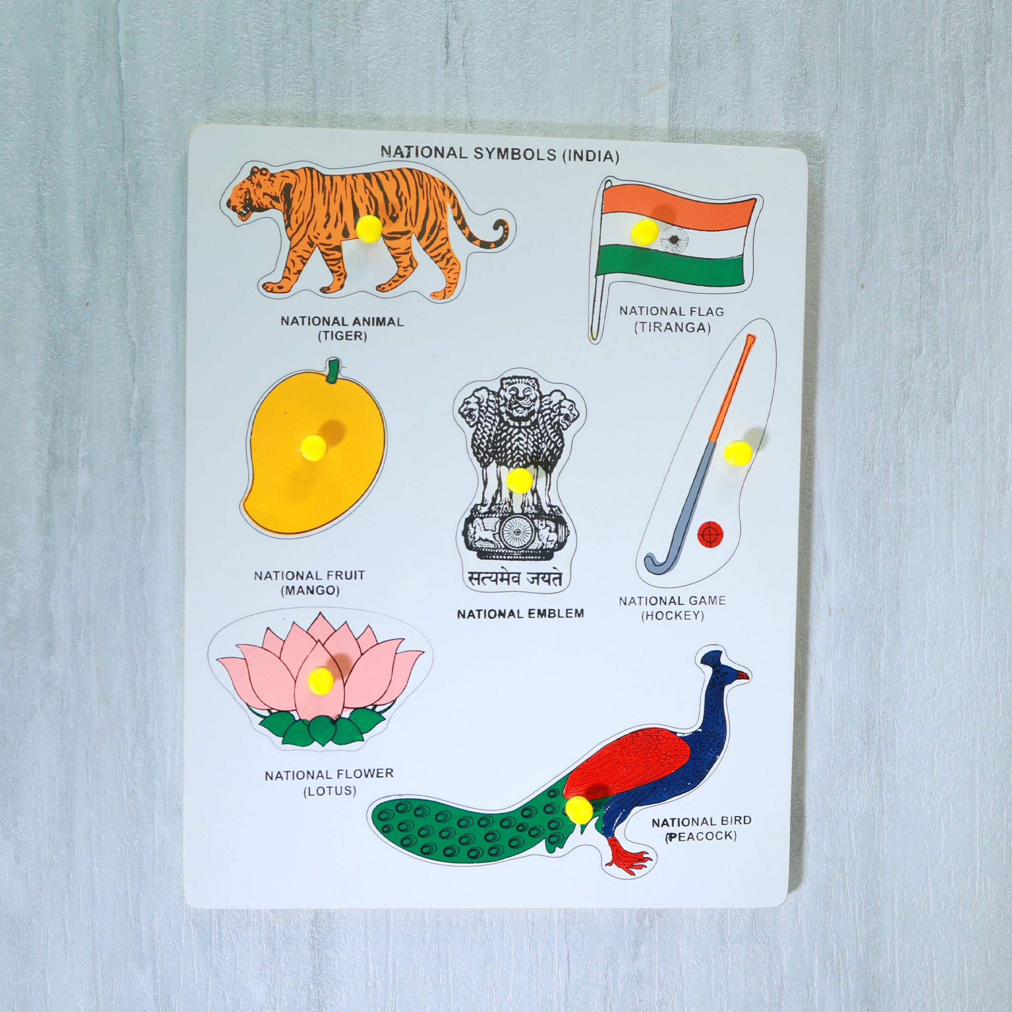 How to draw a tiger - National Animal of India